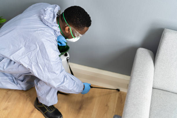 Best Residential Pest Control  in Elk Mound, WI